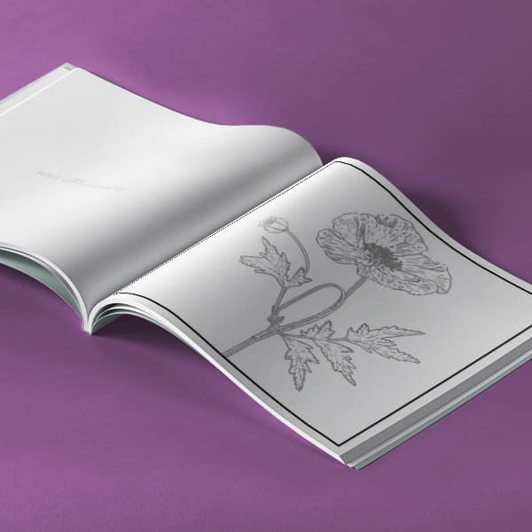 100 Flowers, open pages