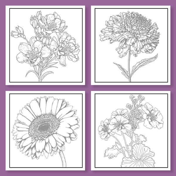 100 Flowers, Example pages